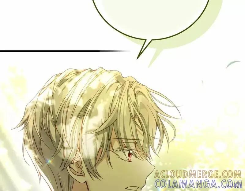 第221页