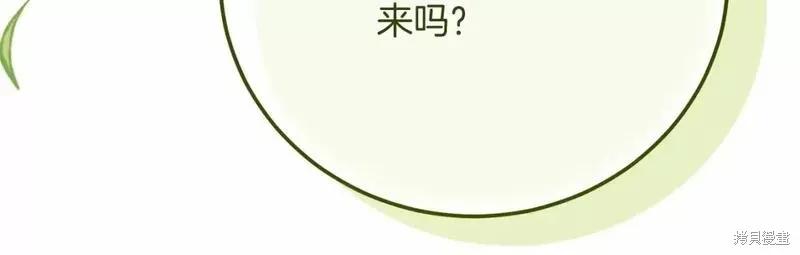 第223页