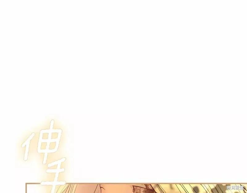 第224页