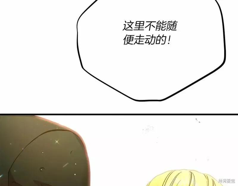 第250页