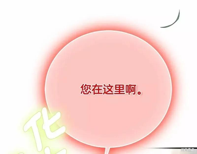 第258页