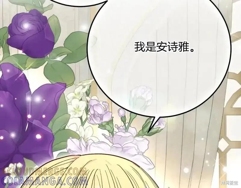 第217页