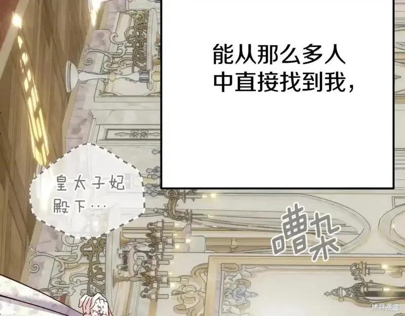 第223页