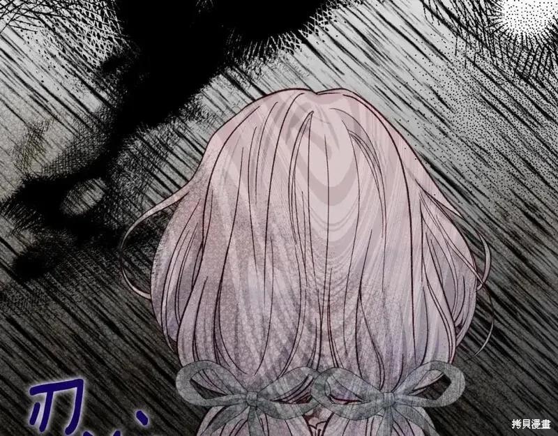 第223页
