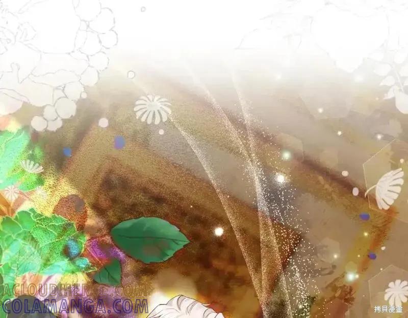 第229页