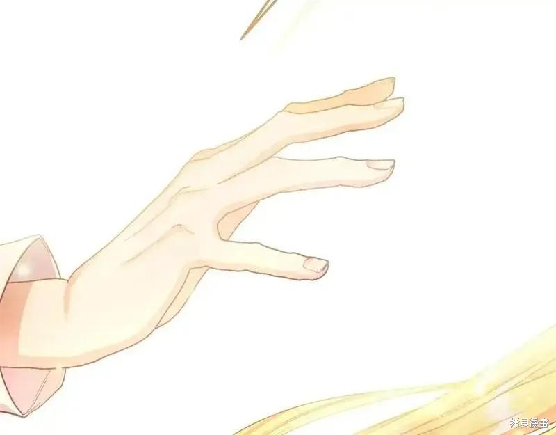 第228页