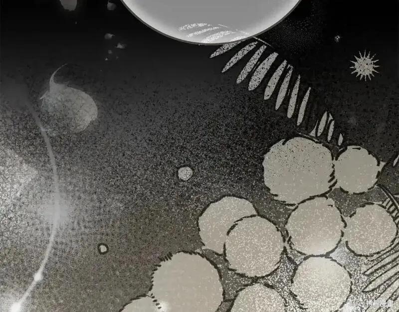 第236页