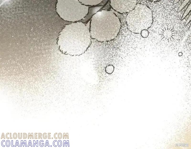 第237页