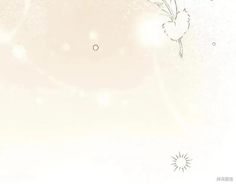 第239页