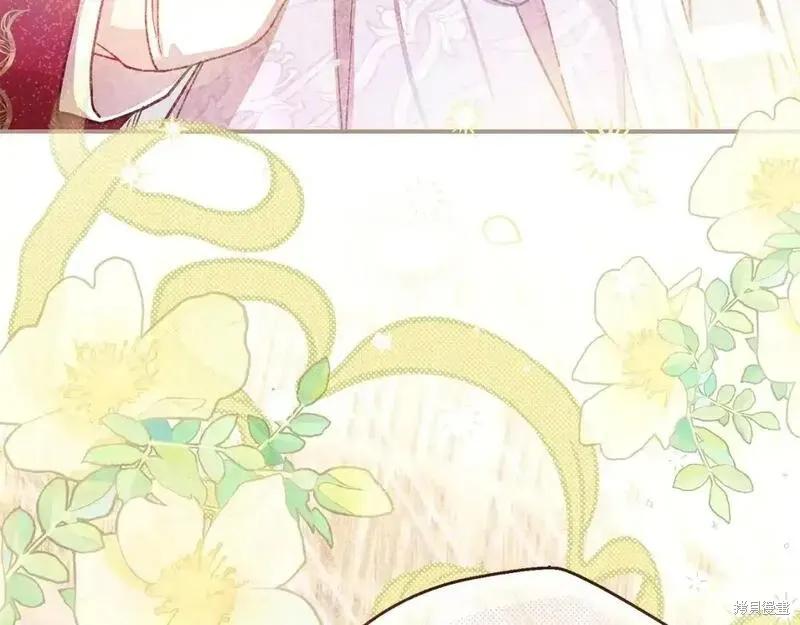 第247页