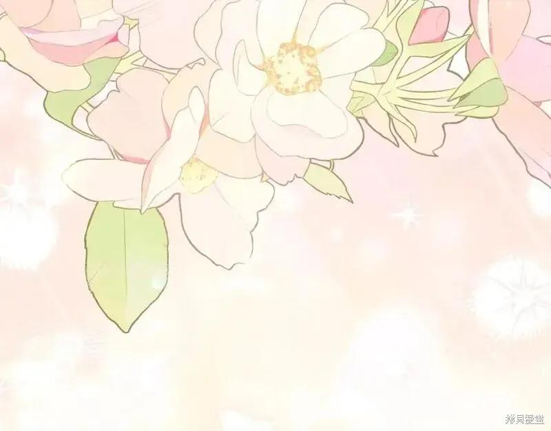 第251页