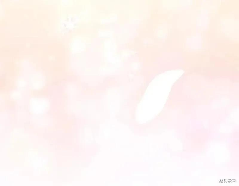 第255页