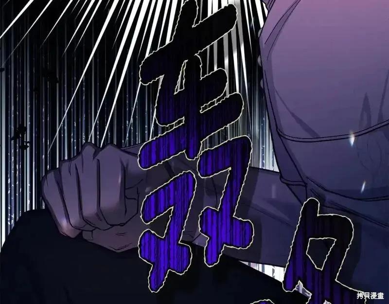 第242页