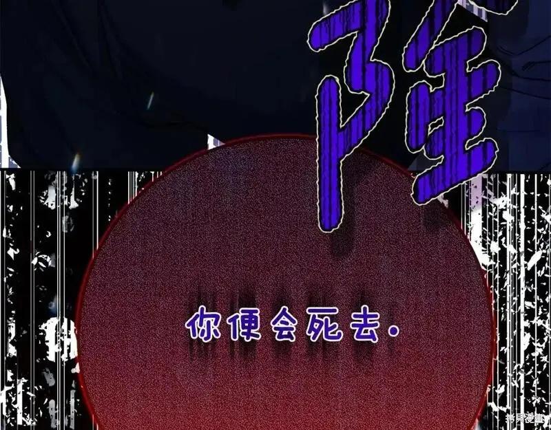 第243页