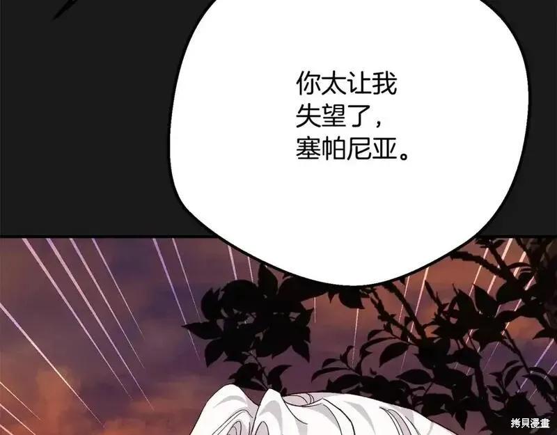 第214页