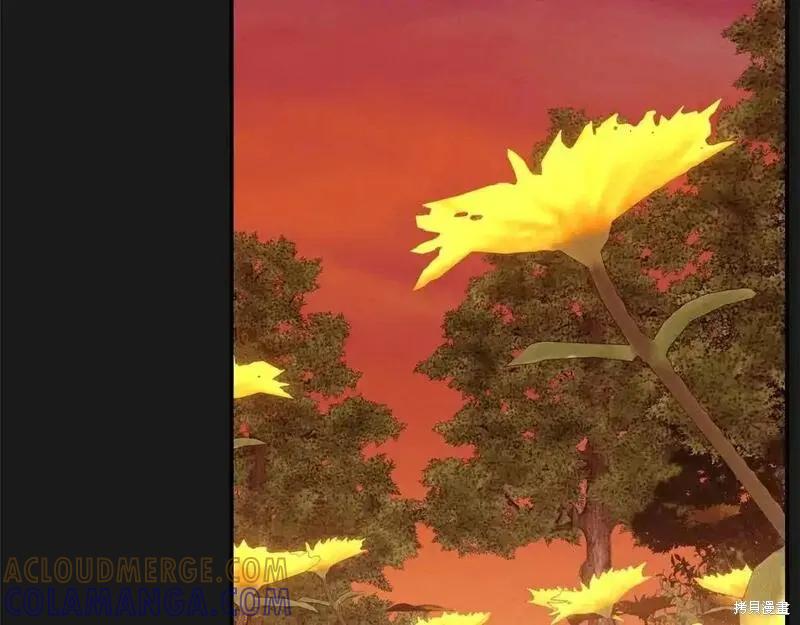 第221页