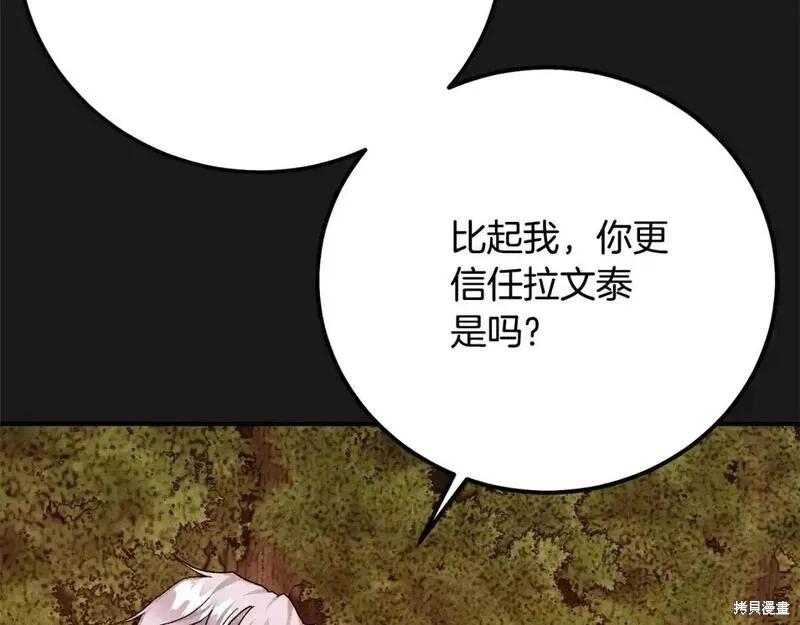 第224页