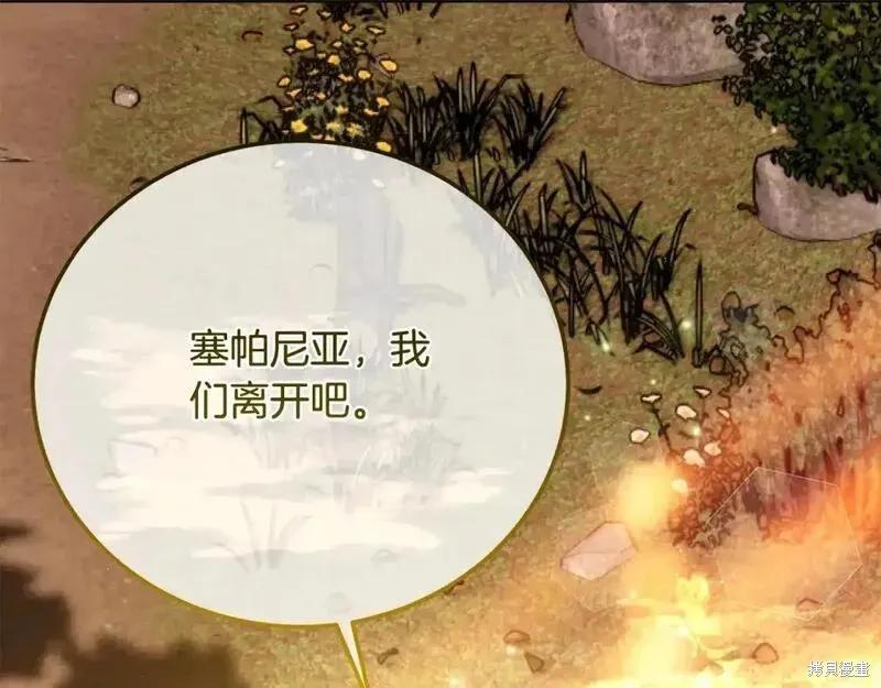 第242页