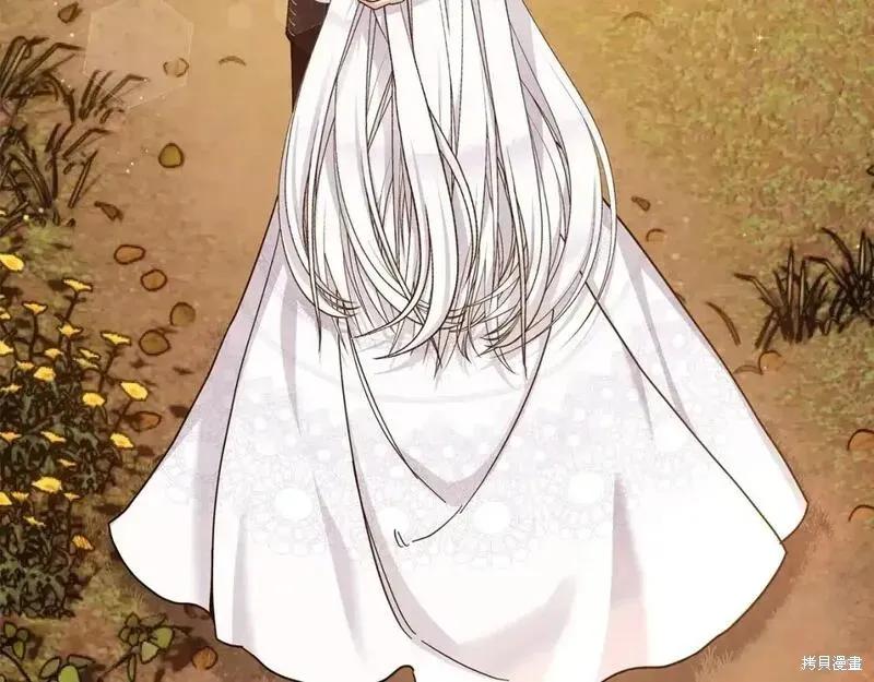 第244页
