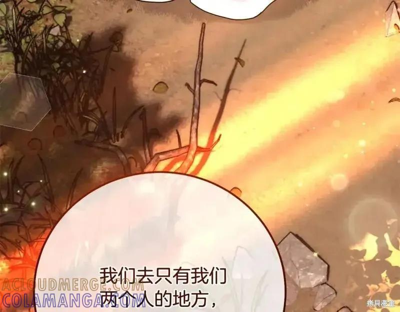 第245页