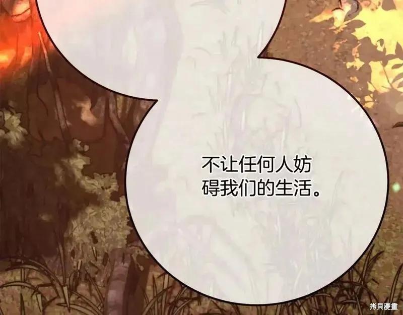 第246页