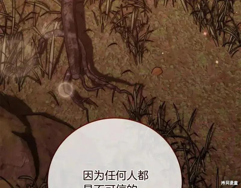 第247页