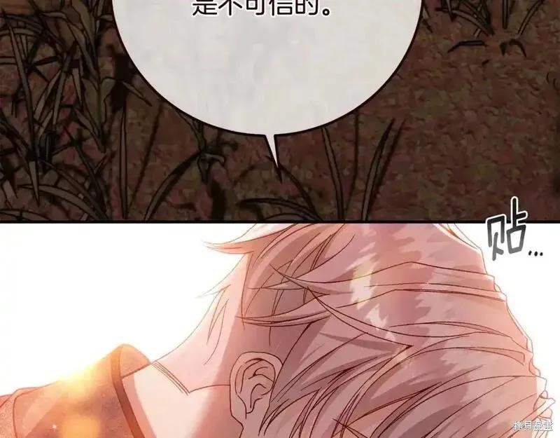 第248页
