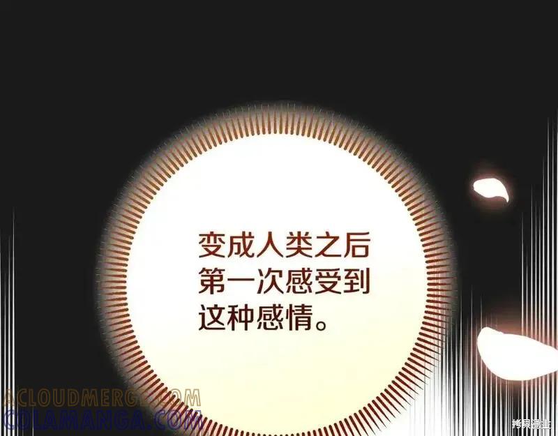 第257页