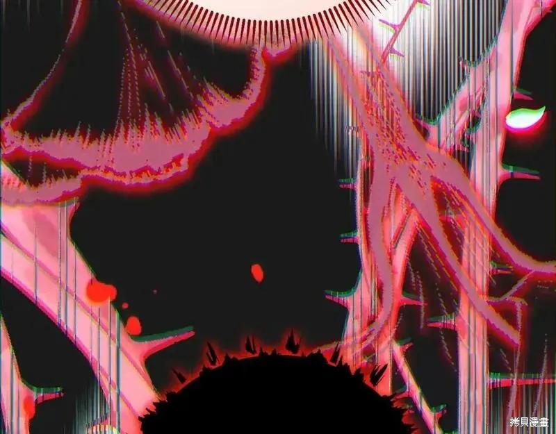 第260页