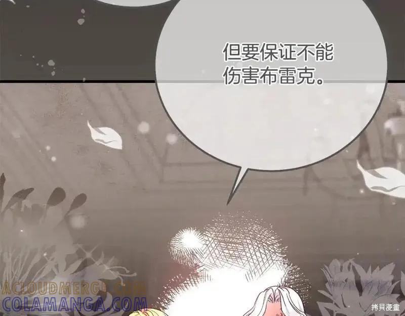 第205页