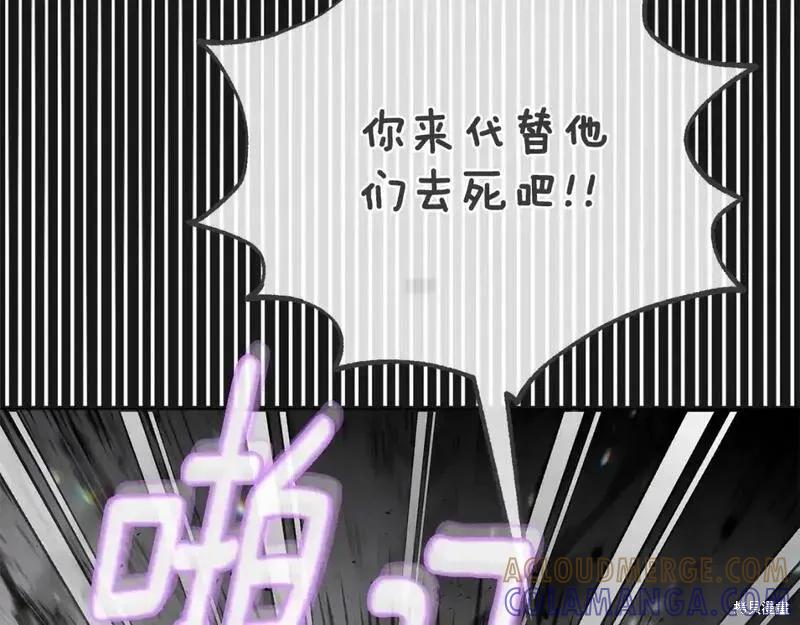 第213页