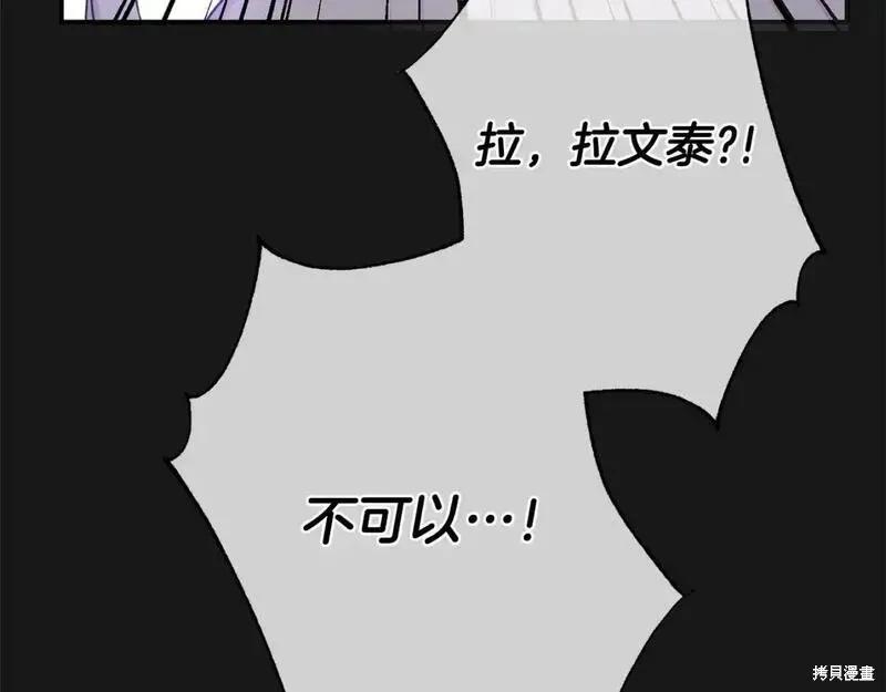 第223页