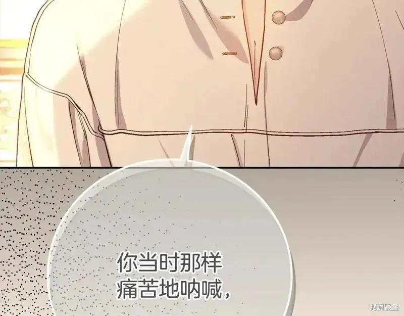第282页