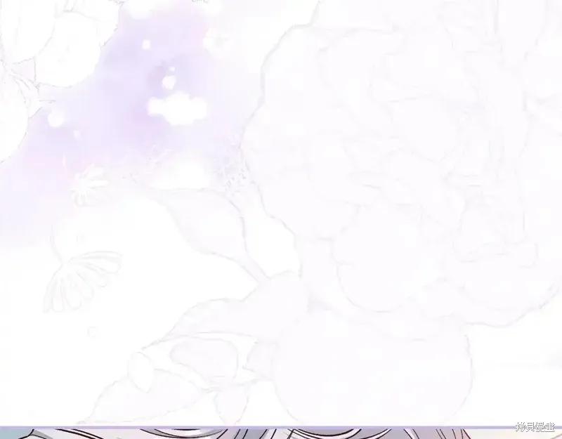 第224页