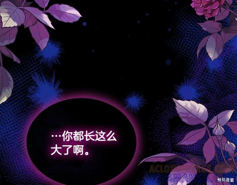 第205页