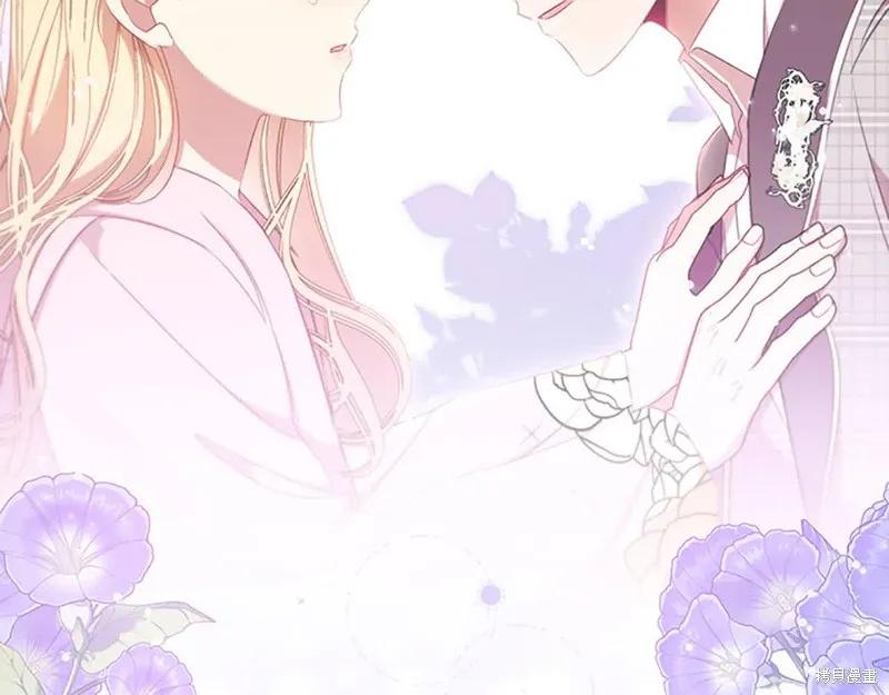 第223页