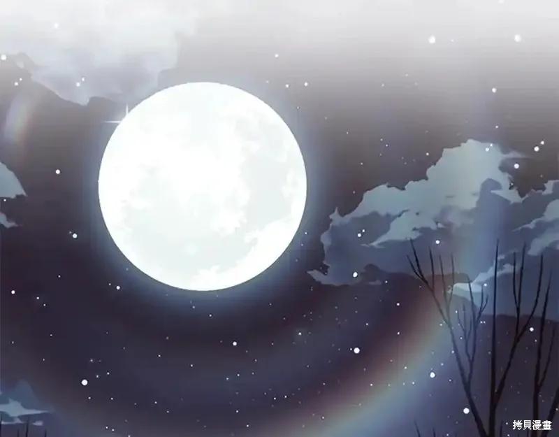 第207页