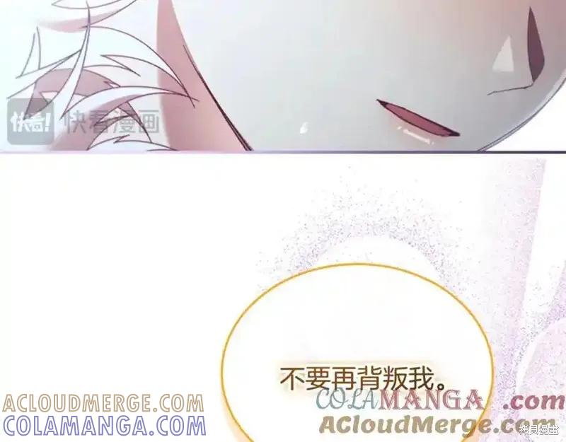 第241页