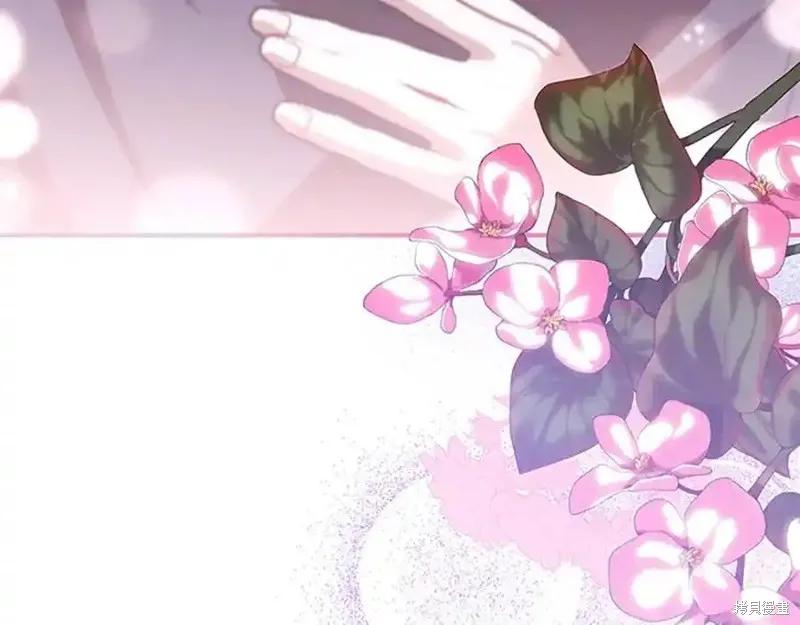 第248页
