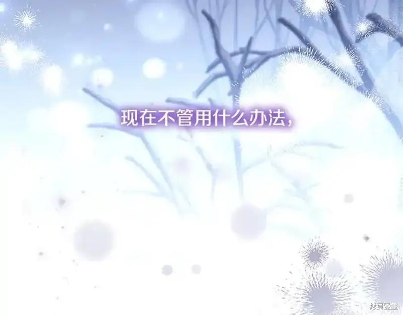 第254页