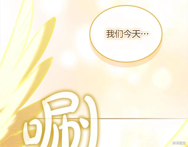 第224页