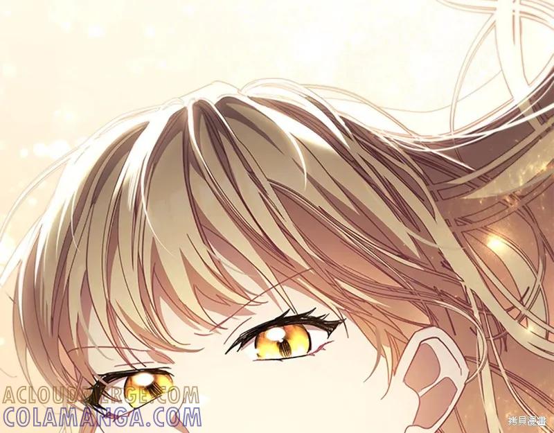 第229页