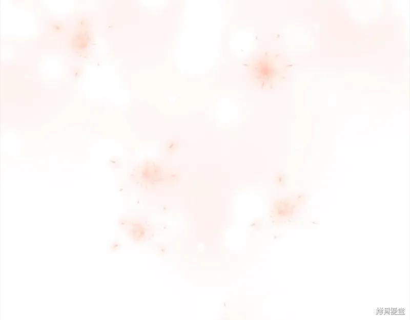 第223页