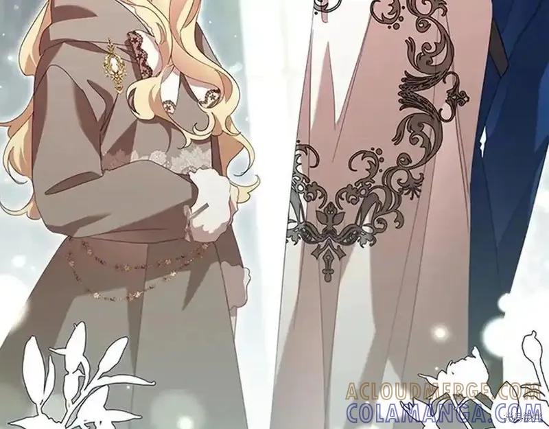 第205页