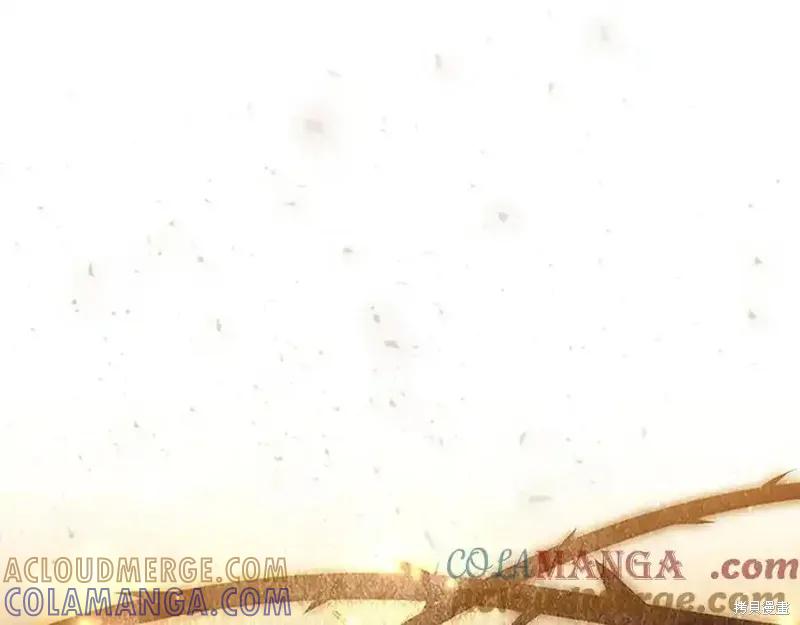 第197页