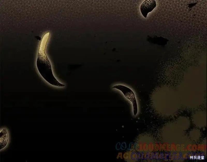 第205页