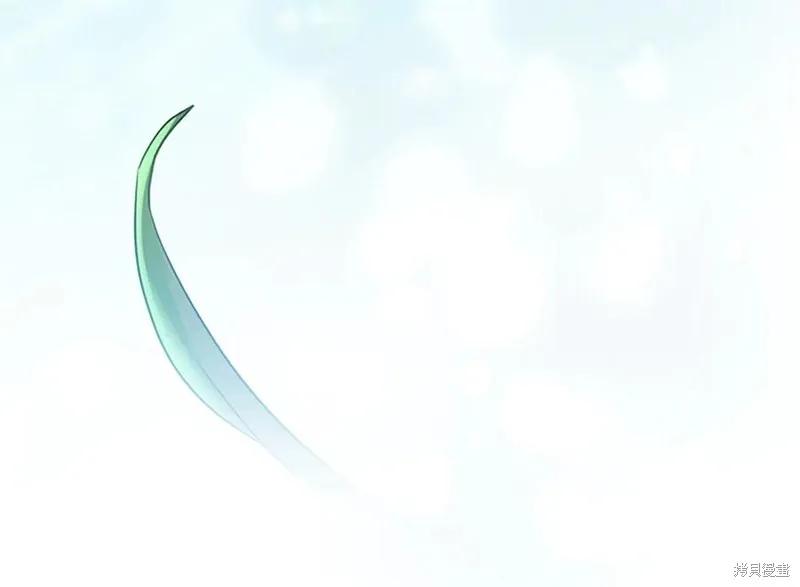 第204页