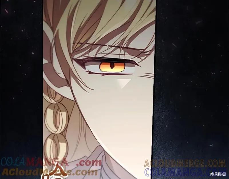 第217页