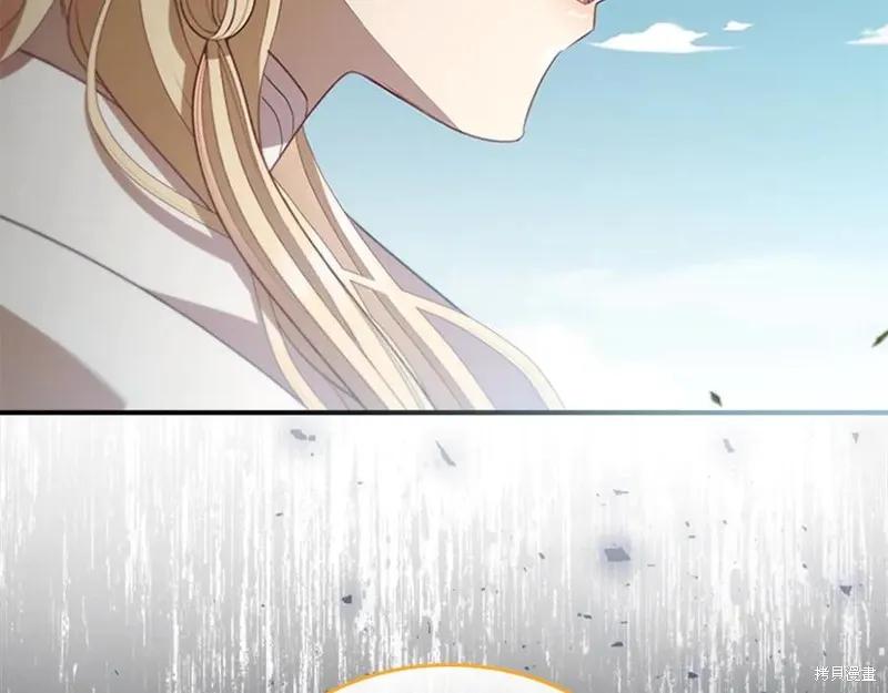 第224页