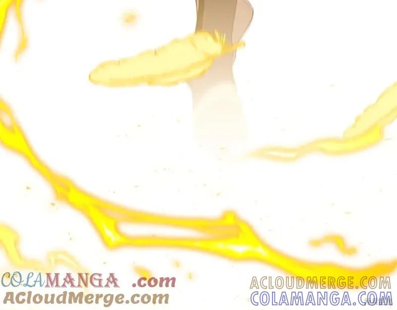 第237页